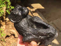 Polished  Black Soapstone Baboon Carving x 1 From Zimbabwe