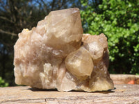 Natural White Phantom Cascading Smokey Quartz Clusters  x 7 From Luena, Congo - Toprock Gemstones and Minerals 