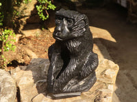 Polished  Black Soapstone Baboon Carving x 1 From Zimbabwe