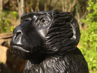 Polished  Black Soapstone Baboon Carving x 1 From Zimbabwe