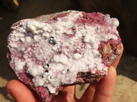 Natural Pink Salrose Cobaltion Dolomite Specimens x 6 From Kakanda, Congo