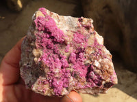 Natural Pink Salrose Cobaltion Dolomite Specimens x 6 From Kakanda, Congo