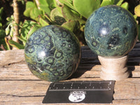 Polished Stromatolite / Kambamba Jasper Spheres  x 2 From Katsepy, Madagascar - Toprock Gemstones and Minerals 