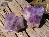 Natural Jacaranda Amethyst Clusters  x 2 From Mumbwa, Zambia - Toprock Gemstones and Minerals 