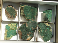 Natural Crystalline Micro Botryoidal Malachite Specimens  x 6 From Tenke Fungurume, Congo - TopRock