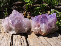 Natural Jacaranda Amethyst Clusters  x 2 From Mumbwa, Zambia - Toprock Gemstones and Minerals 