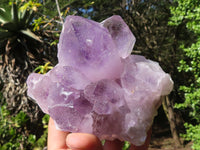 Natural Jacaranda Amethyst Clusters  x 2 From Mumbwa, Zambia - Toprock Gemstones and Minerals 