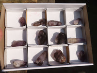 Natural Window Amethyst Crystal Specimens  x 12 From Chiredzi, Zimbabwe