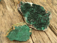 Natural Micro Botryoidal Crystalline Malachite Specimens  x 3 From Tenke Fungurume, Congo - TopRock