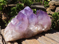 Natural Jacaranda Amethyst Clusters  x 2 From Mumbwa, Zambia - Toprock Gemstones and Minerals 