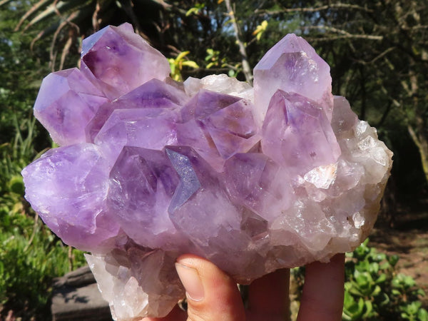 Natural Jacaranda Amethyst Clusters  x 2 From Mumbwa, Zambia - Toprock Gemstones and Minerals 