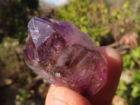 Natural Window Amethyst Crystal Specimens  x 12 From Chiredzi, Zimbabwe