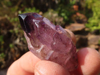 Natural Window Amethyst Crystal Specimens  x 12 From Chiredzi, Zimbabwe