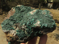 Natural Crystalline Micro Botryoidal Malachite Specimens  x 6 From Tenke Fungurume, Congo - TopRock