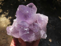 Natural Jacaranda Amethyst Clusters  x 2 From Mumbwa, Zambia - Toprock Gemstones and Minerals 