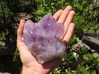 Natural Jacaranda Amethyst Clusters  x 2 From Mumbwa, Zambia - Toprock Gemstones and Minerals 