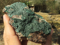 Natural Crystalline Micro Botryoidal Malachite Specimens  x 6 From Tenke Fungurume, Congo - TopRock