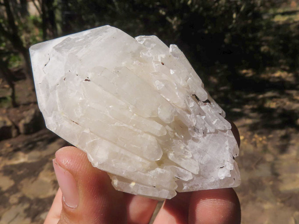 Natural Rare Super 2024 Large Hematoid Pink Pineapple Quartz Point from Madagascar