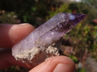 Natural Window Amethyst Crystal Specimens  x 12 From Chiredzi, Zimbabwe