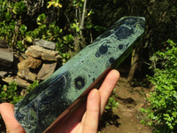 Polished Stromatolite / Kambamba Jasper Points  x 2 From Mahajanga, Madagascar - Toprock Gemstones and Minerals 