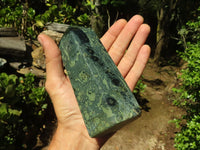 Polished Stromatolite / Kambamba Jasper Points  x 2 From Mahajanga, Madagascar - Toprock Gemstones and Minerals 