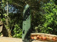 Polished Stromatolite / Kambamba Jasper Points  x 2 From Mahajanga, Madagascar - Toprock Gemstones and Minerals 