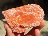 Natural New Sunset Orange Calcite Specimens  x 12 From Spitzkop, Namibia