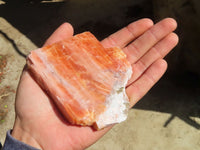 Natural New Sunset Orange Calcite Specimens  x 12 From Spitzkop, Namibia