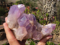 Natural Amethyst Crystal Clusters x 3 From Zambia