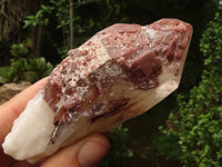 Natural Red Hematoid Phantom Quartz Crystals  x 25 From Karoi, Zimbabwe - TopRock