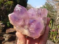 Natural Amethyst Crystal Clusters x 3 From Zambia