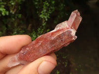 Natural Red Hematoid Phantom Quartz Crystals  x 25 From Karoi, Zimbabwe - TopRock