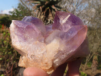 Natural Amethyst Crystal Clusters x 3 From Zambia