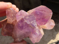 Natural Amethyst Crystal Clusters x 3 From Zambia