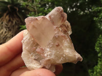 Natural Red Hematoid Phantom Quartz Crystals  x 25 From Karoi, Zimbabwe - TopRock