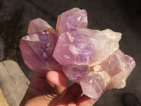 Natural Amethyst Crystal Clusters x 3 From Zambia