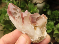 Natural Red Hematoid Phantom Quartz Crystals  x 25 From Karoi, Zimbabwe - TopRock