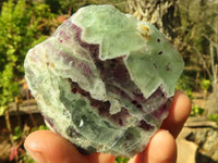 Polished  One Side Polished Watermelon Fluorite Pieces  x 12 From Uis, Namibia