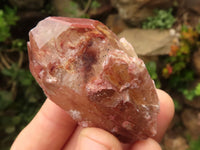 Natural Red Hematoid Phantom Quartz Crystals  x 25 From Karoi, Zimbabwe - TopRock