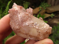 Natural Red Hematoid Phantom Quartz Crystals  x 25 From Karoi, Zimbabwe - TopRock