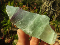 Polished  One Side Polished Watermelon Fluorite Pieces  x 12 From Uis, Namibia