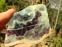 Polished  One Side Polished Watermelon Fluorite Pieces  x 12 From Uis, Namibia