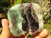 Polished  One Side Polished Watermelon Fluorite Pieces  x 12 From Uis, Namibia