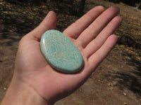 Polished Blue Kobi Amazonite Gallets   x 12 From Zimbabwe - TopRock