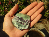 Polished  One Side Polished Watermelon Fluorite Pieces  x 12 From Uis, Namibia