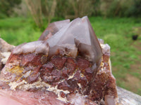 Natural Red Hematoid Quartz Clusters x 2 From Karoi, Zimbabwe - TopRock