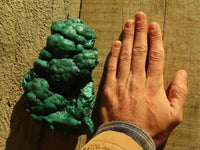 Natural Botryoidal Malachite Specimens  x 2 From Congo