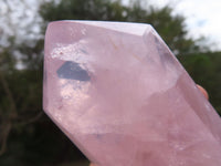 Polished Gemmy Double Terminated Rose Quartz Crystals x 4 From Ambatondrazaka, Madagascar - TopRock