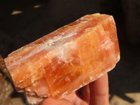 Natural New Sunset Orange Calcite Specimens  x 12 From Spitzkop, Namibia