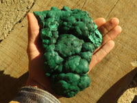 Natural Botryoidal Malachite Specimens  x 2 From Congo